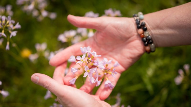 3 coachsessies verlies en rouw Twello